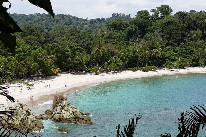 manuel antonio national park tour